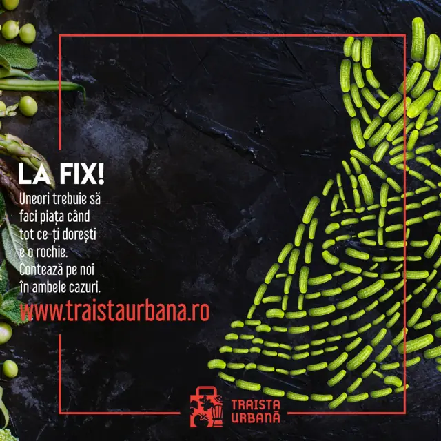 Traista Urbana: La Fix! key visual with a pickle dress